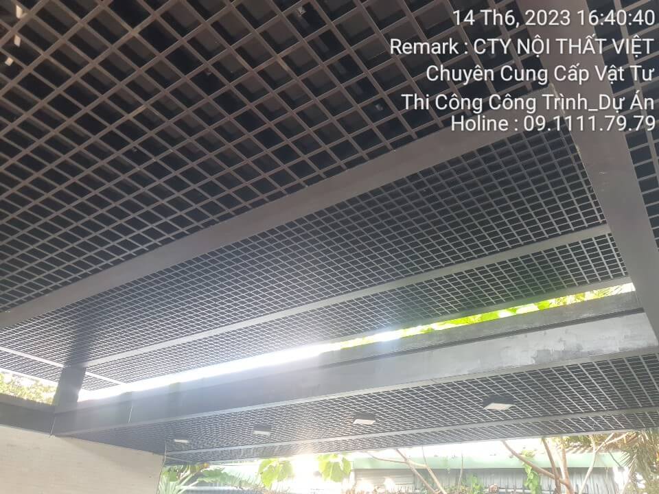 Trần Caro - cell
